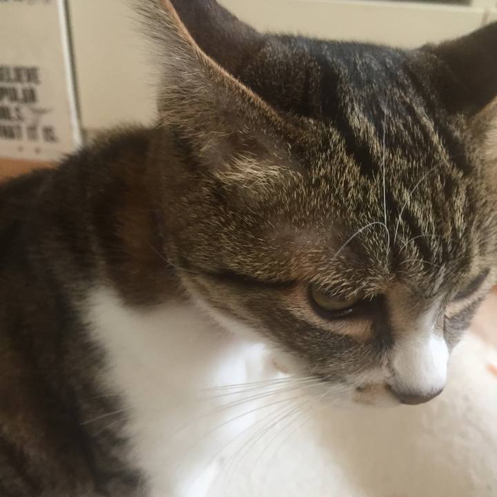 319c3e31 3cb6 48a9 bed6 9bd730ca88e0 1550999349972