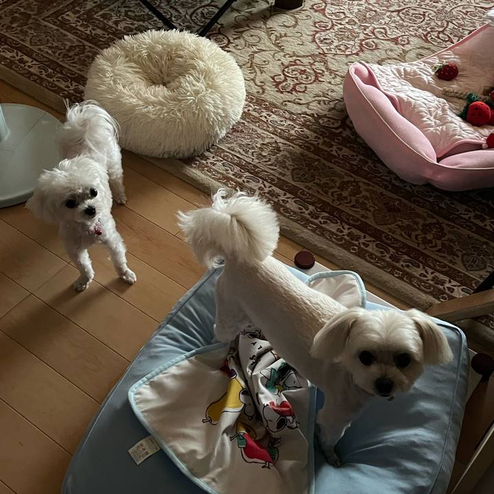 319c410f 6a95 4540 95ef 9166c69e0845 1722943705207