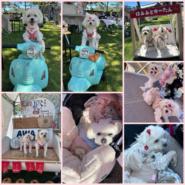 319c4ada 904a 444c ae9a 066bd4486e76 1727089417973