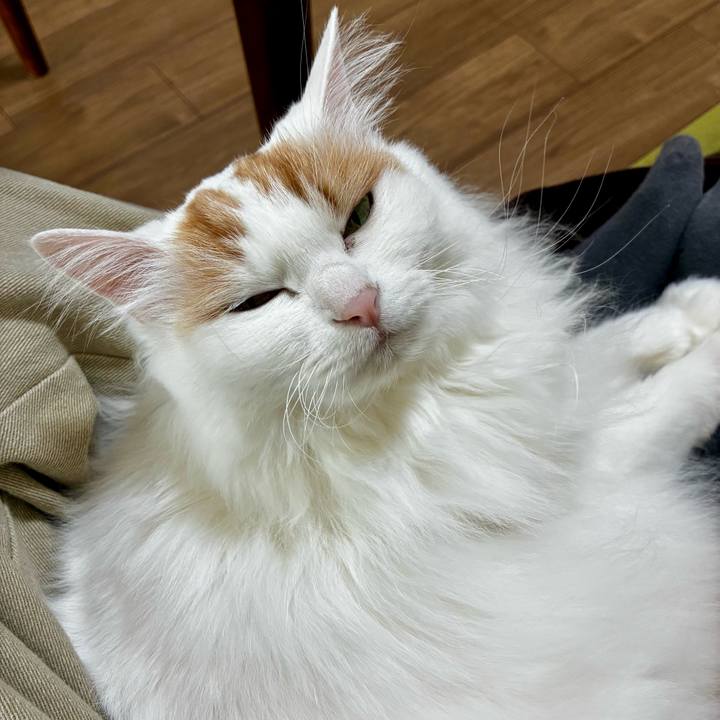 319c529d f84b 489e bc2e 7c926d3c43e0 1773452189154