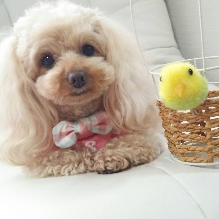 319c6d17 57d8 47c4 90be af23d09eedf8 1522745103566