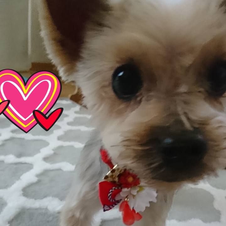 319c91ac bba9 4193 8caf 932f7246b847 1547446273316