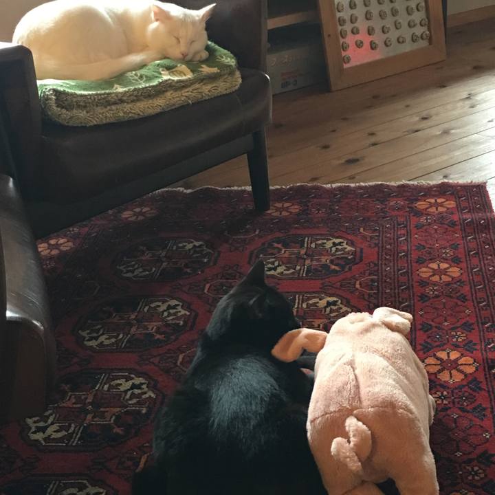 319c9f54 dd00 4f3d 984d fe997eda8eff 1543800078521