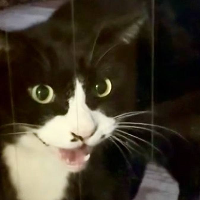 319cbefc 49b7 4db1 a5c4 af1416073b0f 1764236786601