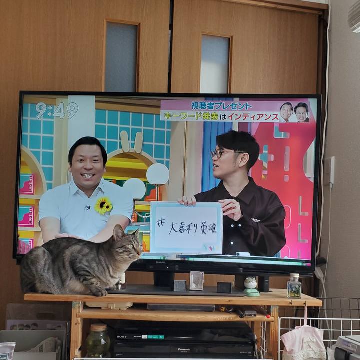 319cc69a bfdf 41b1 90b5 e9003c0c2b67 1706629635699