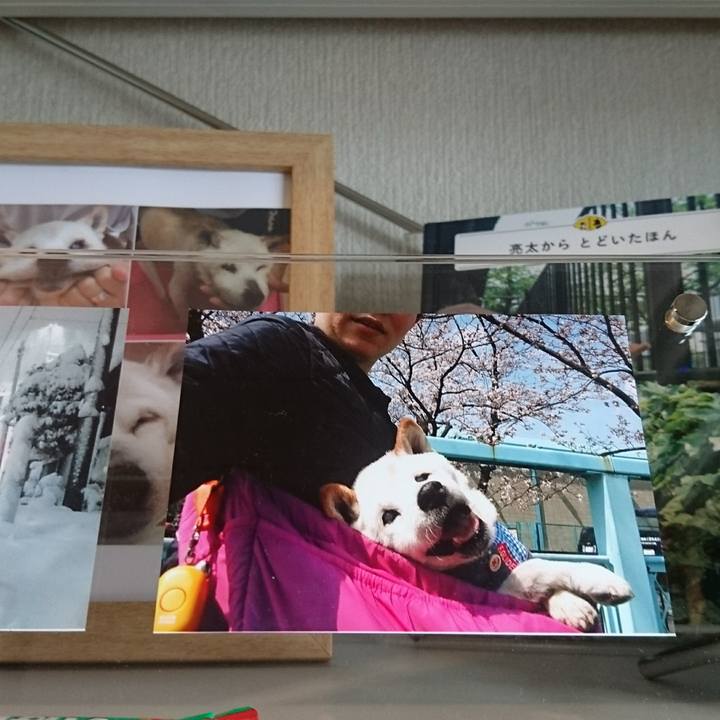 319cdec9 b24b 497a b229 07d50f7e0a76 1552717338788