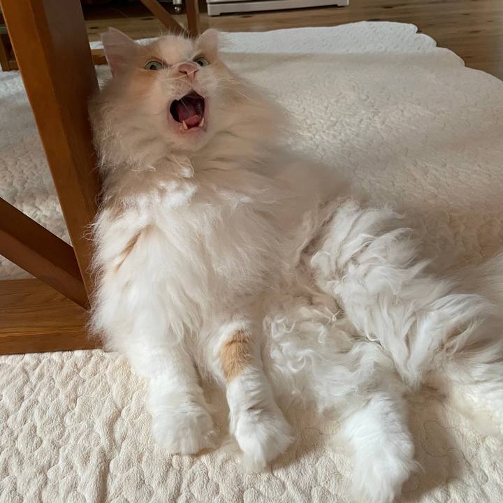 319ce79e 42f6 4578 b19d 7e92d447312e 1638656499770