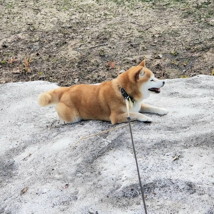 319d3db6 204b 4956 8e36 7bb1587d8164 1651907951959