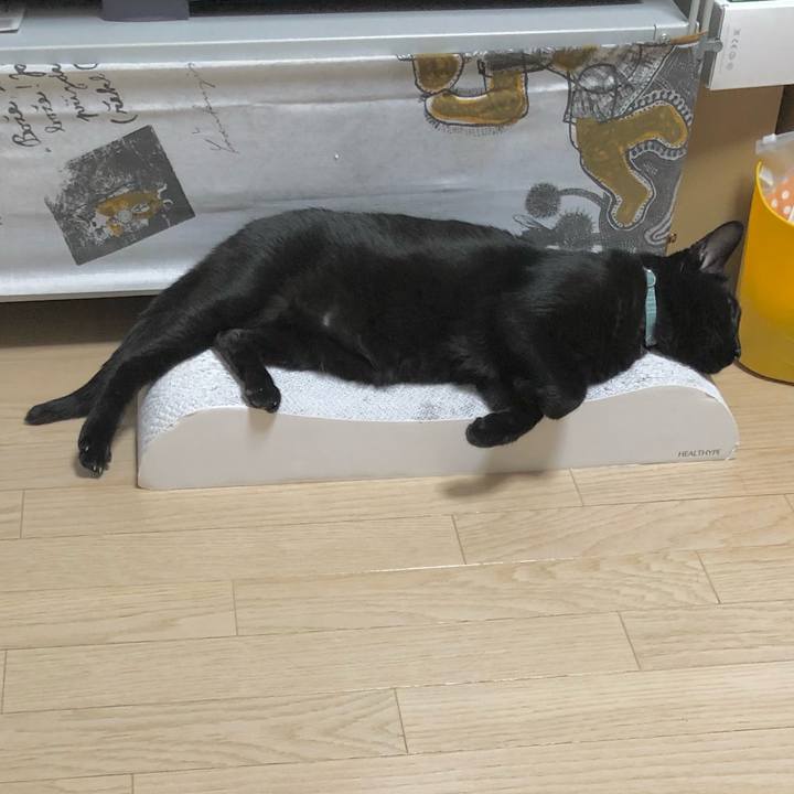 319d4311 00d6 4b97 aa36 a72ff6838855 1627131066528