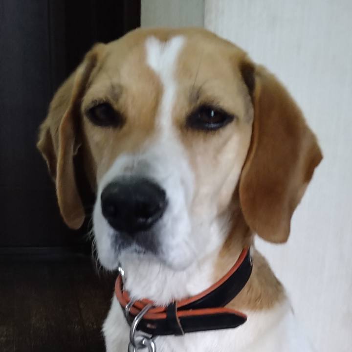 319d878c d4ca 46d9 8d86 8a09be7b4028 1622042699881