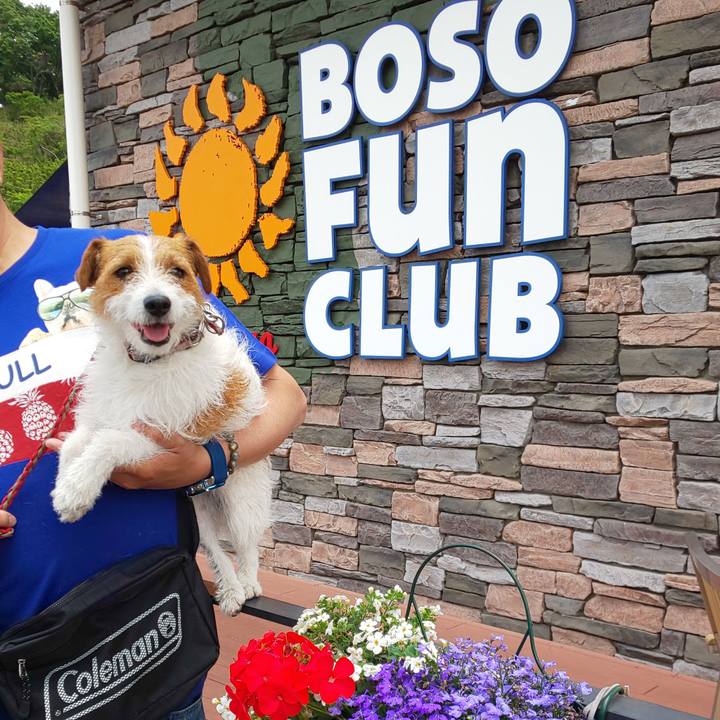 319d9bcc 03f3 4785 b2a9 31a6e12f2562 1558146838813