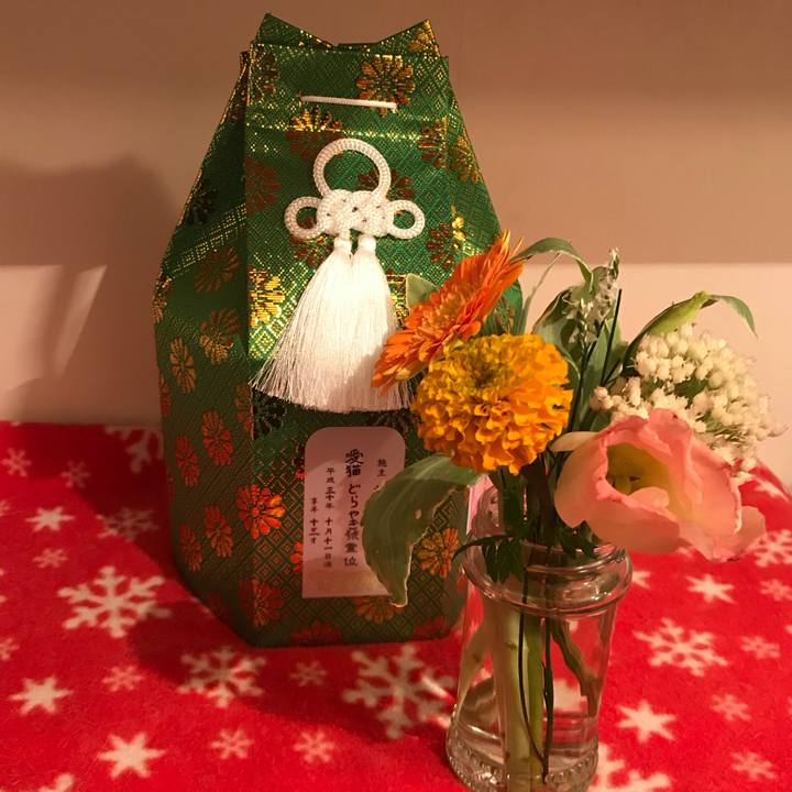 319dbaab 570c 4e2b 93f8 734990144b22 1539426812556