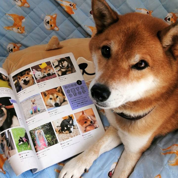 319e3f7d 7e74 4779 9afb c8b08b42e043 1601433725397