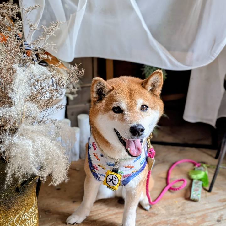 319e4c1d 0322 4750 bfe0 67c0745855ae 1745407801147