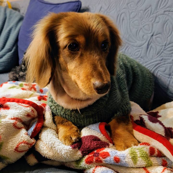 319e5d0b dc9e 433c 9acd 508a15dd4b57 1702990202786