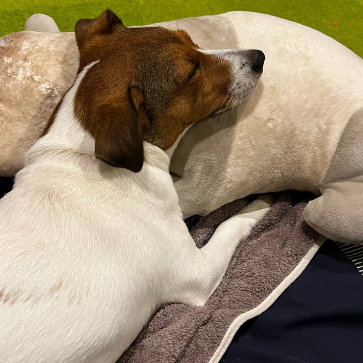 319e8955 6a6c 4826 bac0 d7fa0955cc03 1758672244012