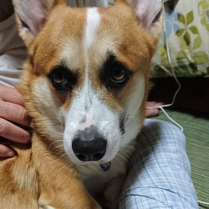 319e9add 860a 4f89 baa8 638dd71ddaa3 1599876249977