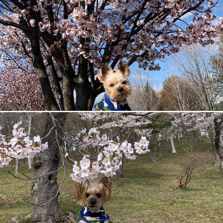 319eb30c 32fc 4a6e 920c 97a86129383e 1682928746177