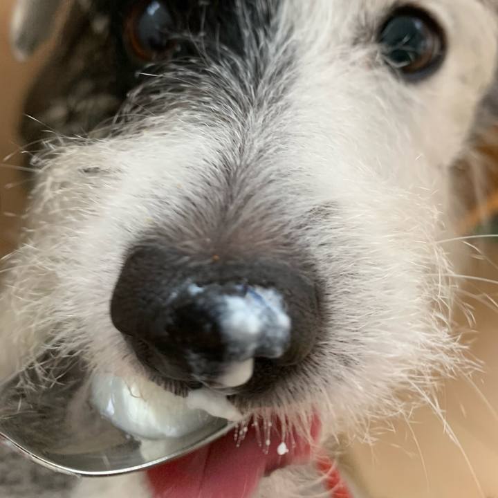 319eb879 1fd1 4377 81f0 c54c4916b521 1575932817826