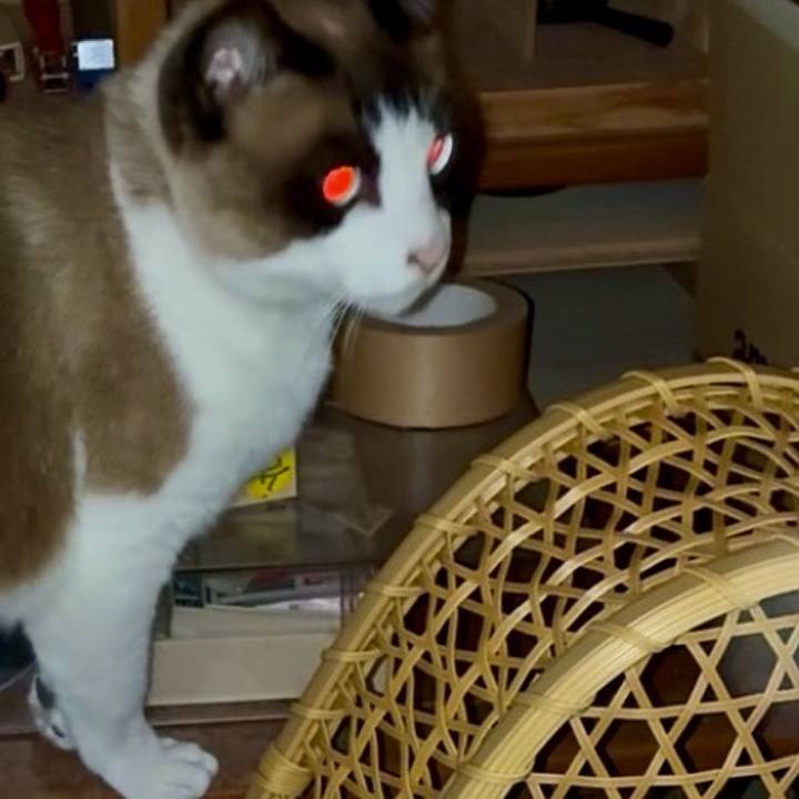 319ed7d7 7771 47b3 accc 7d23a84f42e5 1748055952786