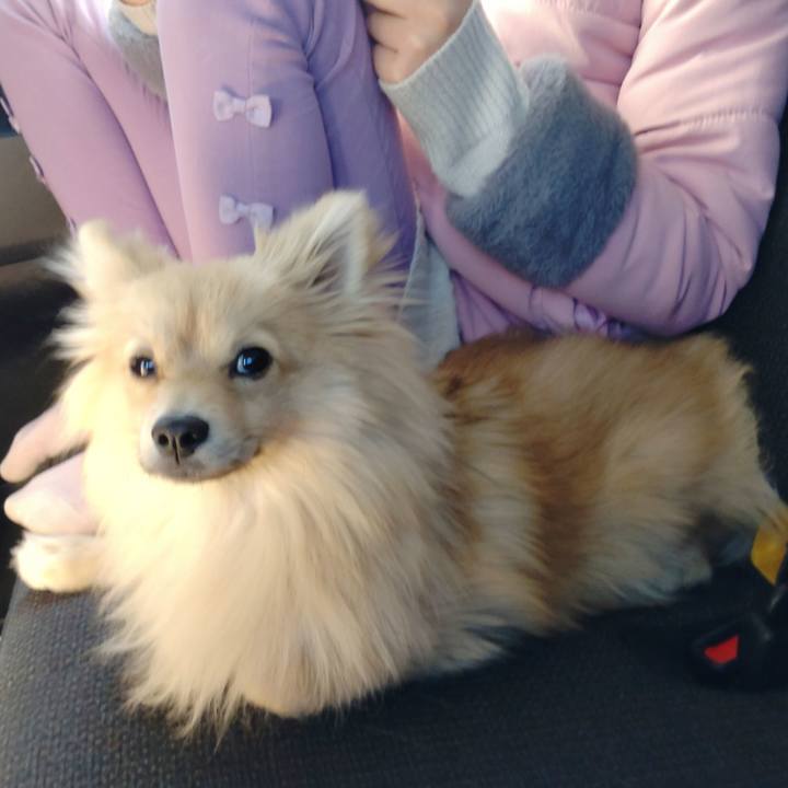 319f1895 e152 4c2a 893e c07f3c07fa30 1740473258366