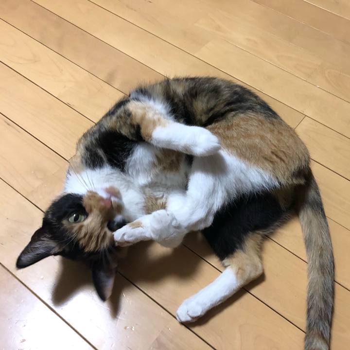 319f276c 0697 4ce8 b0a3 cb906dbb1e08 1570681927280