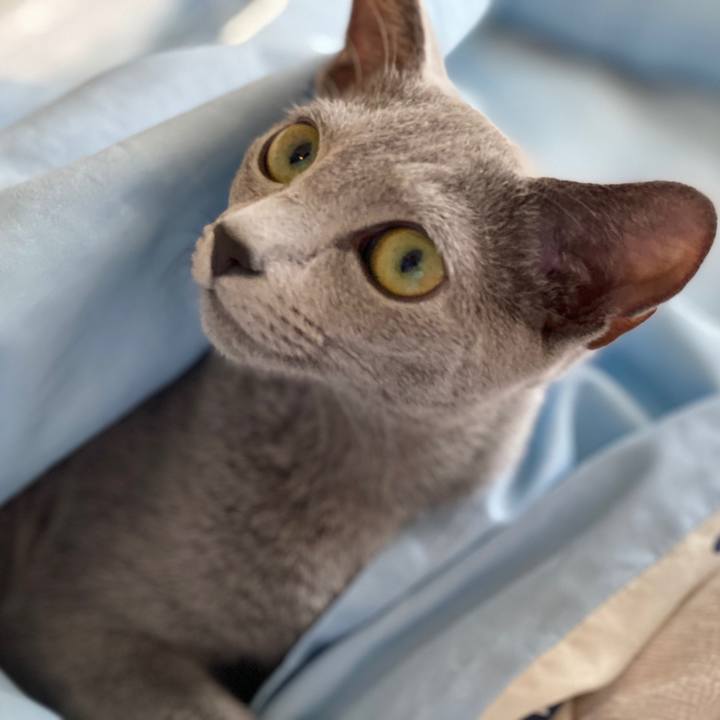 319f94ae 3c3c 4bf3 83a7 328b7bb2eb79 1598762981069