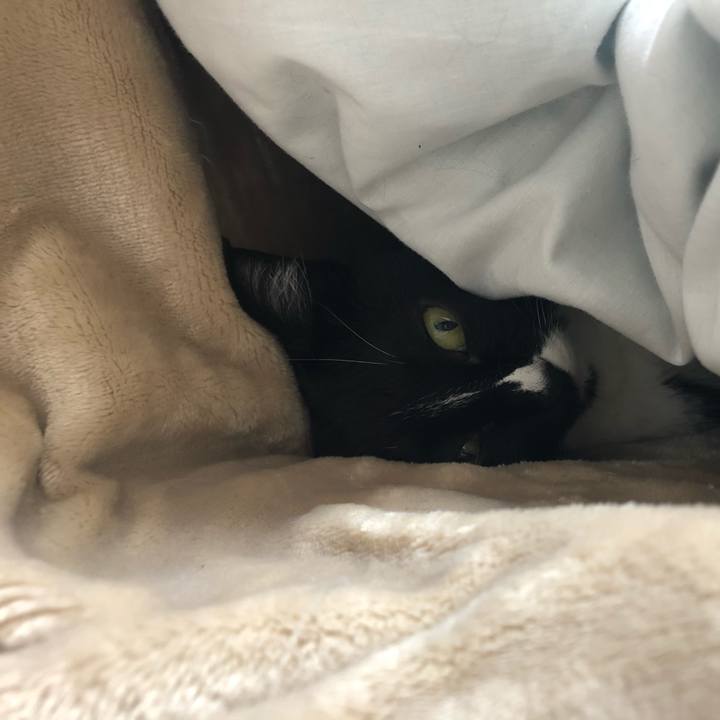 319fb7dc f54c 40f9 be8c 8acfd15d435f 1548714863293