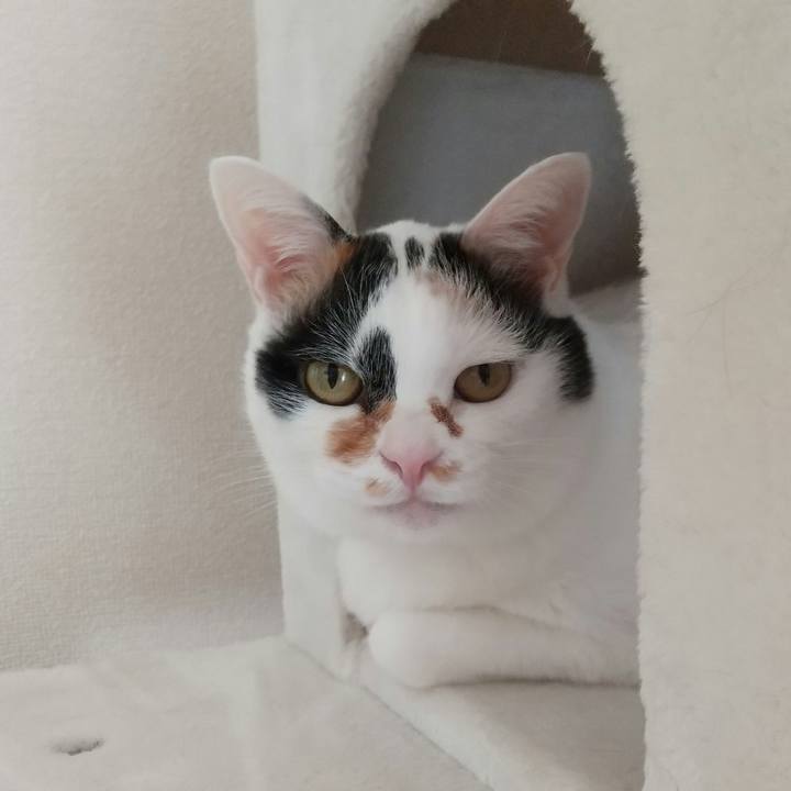 319fd48e f9cb 45b0 abf7 449ef3c6dbb4 1678233788035