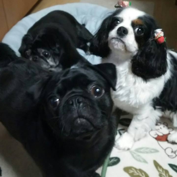 319fdbb8 9fe9 4eef 8217 97672caae50b 1528206369960