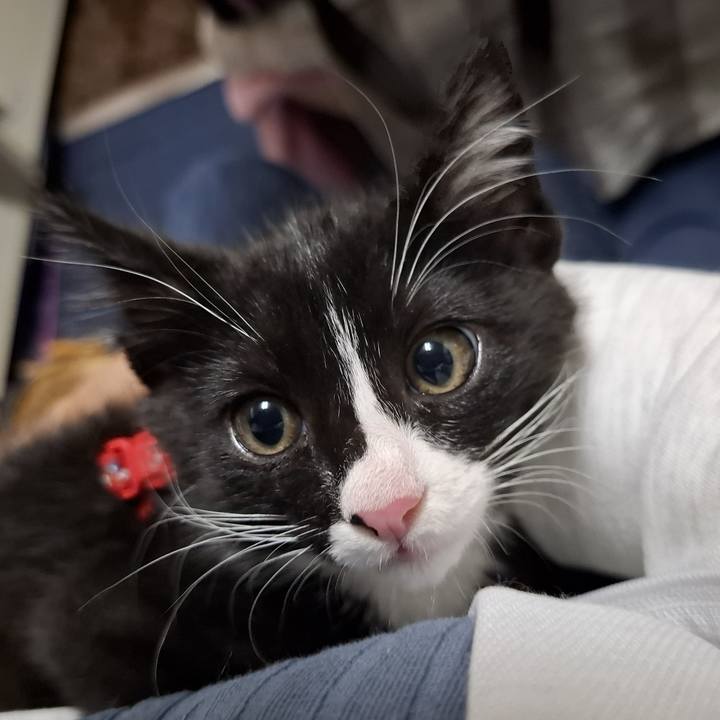 319fe41a 0577 4c71 8a2e 83ffa8849c02 1749448336291