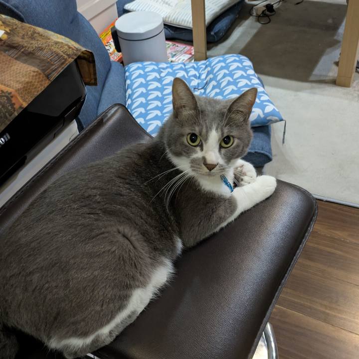 31a000de cb60 42fd 9bcb 3c5d0961a243 1758592216966