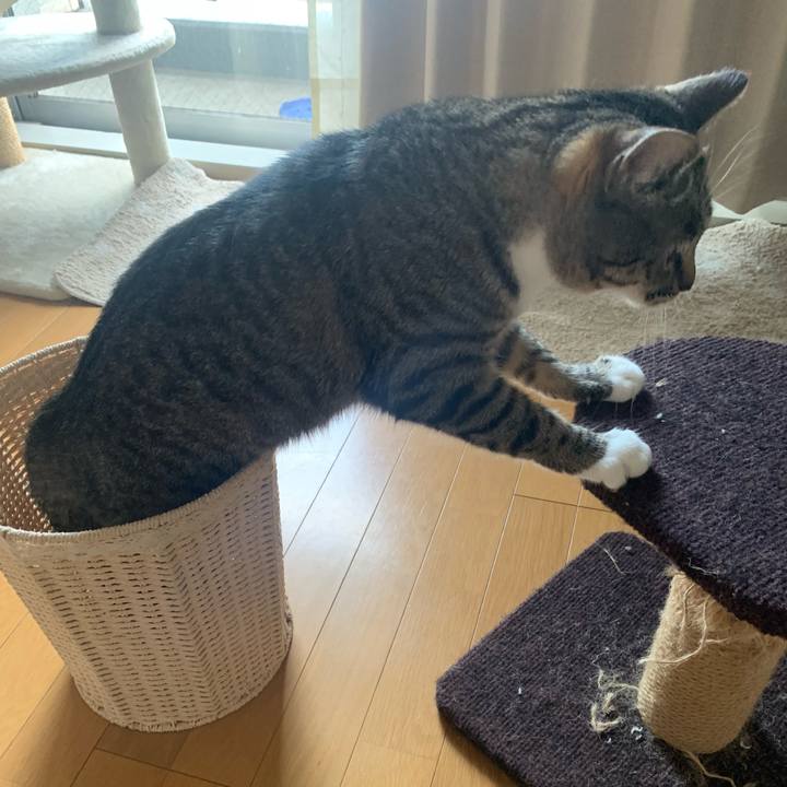 31a01c06 0093 4542 8a21 5d8dbc69e0e3 1565255274070