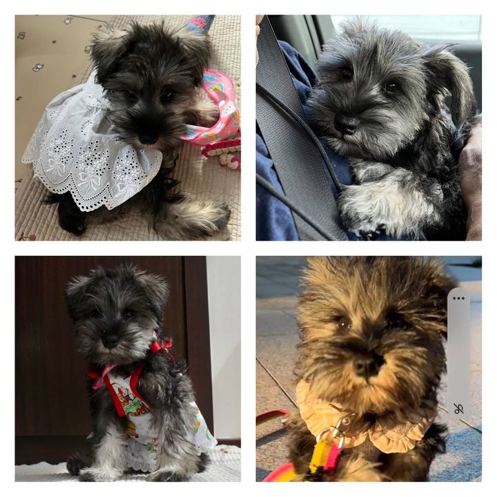 31a032ba 7879 4801 9fcb 86aa87f8bef3 1696493156706