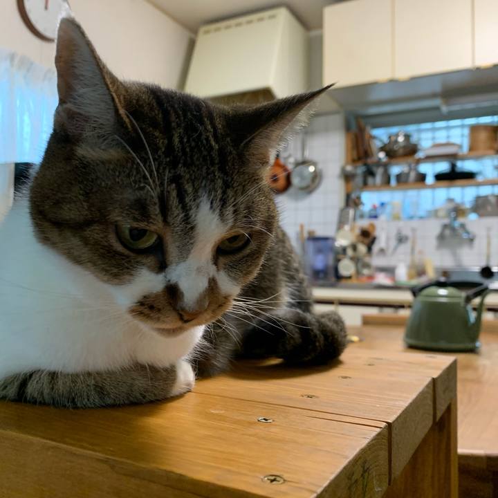 31a06190 8b31 436d 9510 854dd64d926e 1661915290087