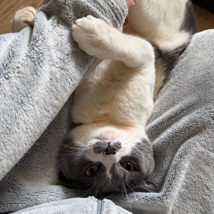 31a06e62 fa96 46b7 a01d f19345a6b816 1768958831511