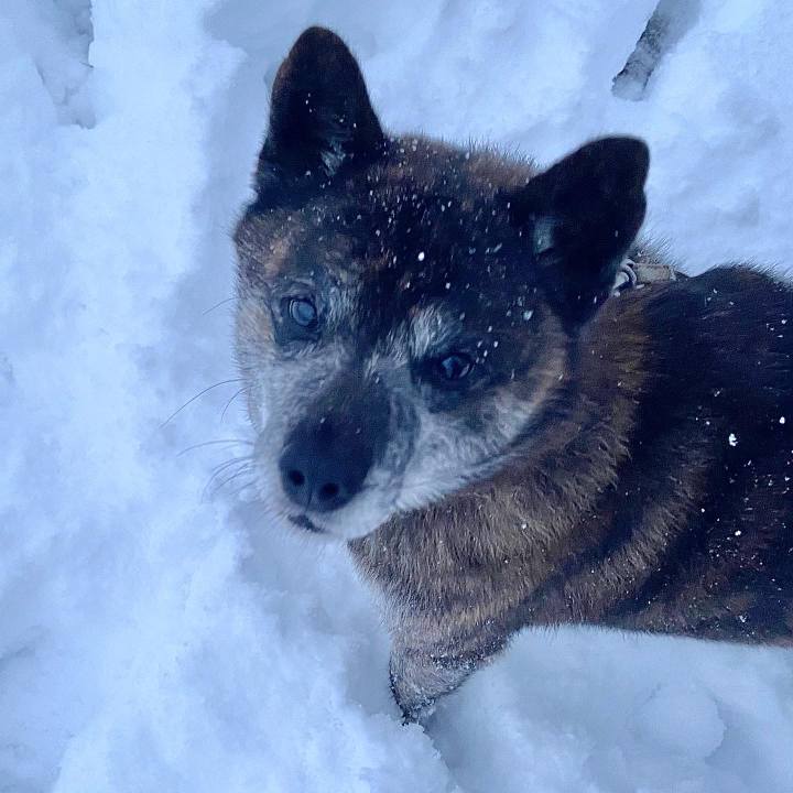 31a092f3 163f 4f48 9780 f21928a15457 1644014569784