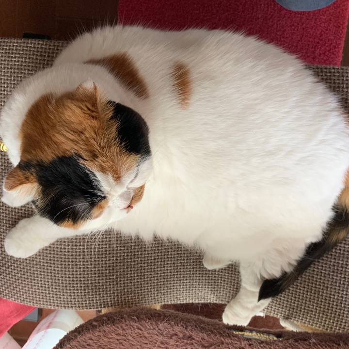 31a09524 8233 4d9c a918 5c5ff6422eb0 1568846305602