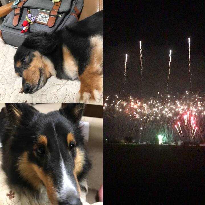 31a0d0b7 e97b 4489 9731 66dbd7a86fea 1535280609705