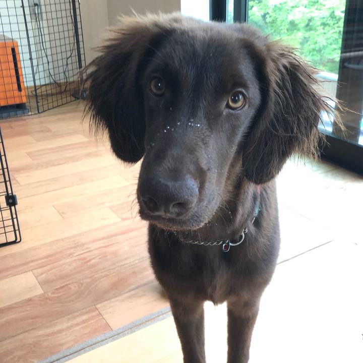 31a0eb6e 3148 4bf0 a56a b0195b65a690 1559799032779