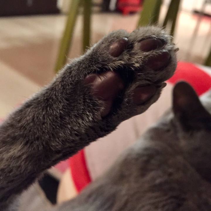 31a0ee5c bb97 408a 848c f61ba1213a20 1542207565713