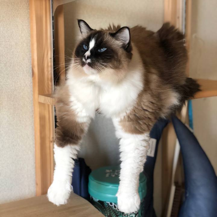 31a0f81a 4d68 4f4b 9a29 30e2a10dfbbc 1650892457039