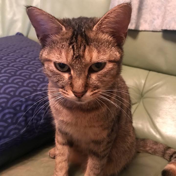 31a10213 6c30 4b43 a276 8f6ea378240e 1574586018436