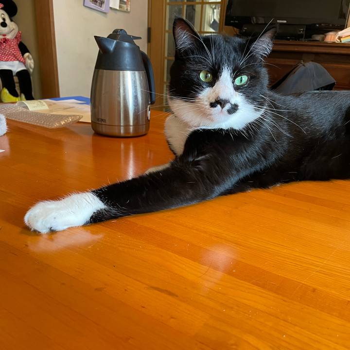 31a104ec 9ebf 4c44 94f2 9efd5f4f7fd8 1660002092006