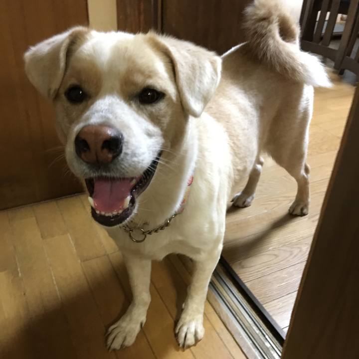 31a117c7 0db5 4628 aff6 a69682b6f075 1540703938387