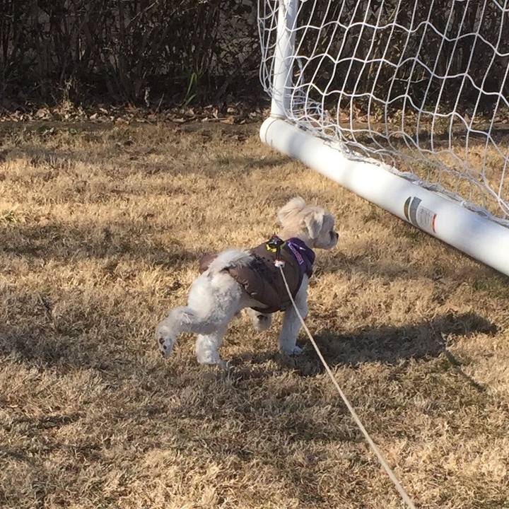 31a14a28 b314 485c aecc 91200e22e184 1514789271900