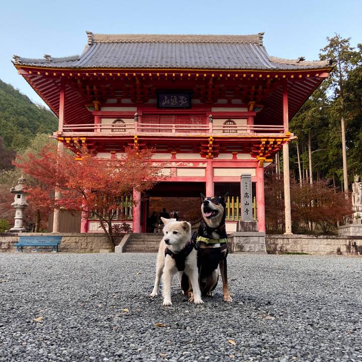 31a14b57 96ec 4b03 9707 74f741175d36 1700878044041