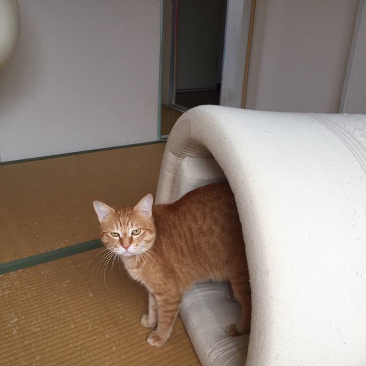 31a154ce 9eac 426c b03a 300d7085a2f5 1553733518201