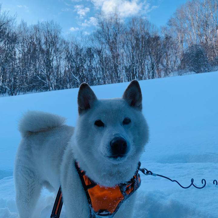 31a180a4 c29c 4b58 8d5c c76fb7130ea8 1674780181489