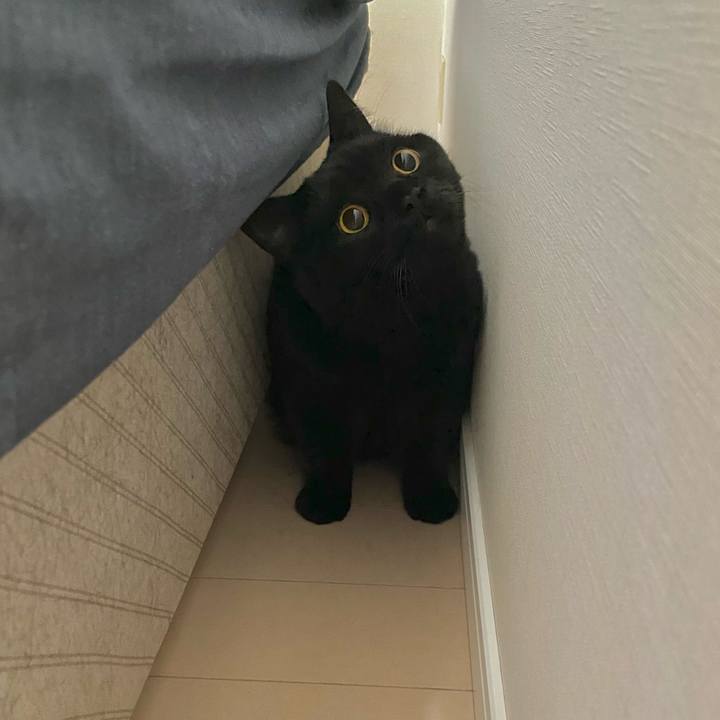 31a1a77f 33a9 440a 8e33 e7a3d3786745 1681601001873